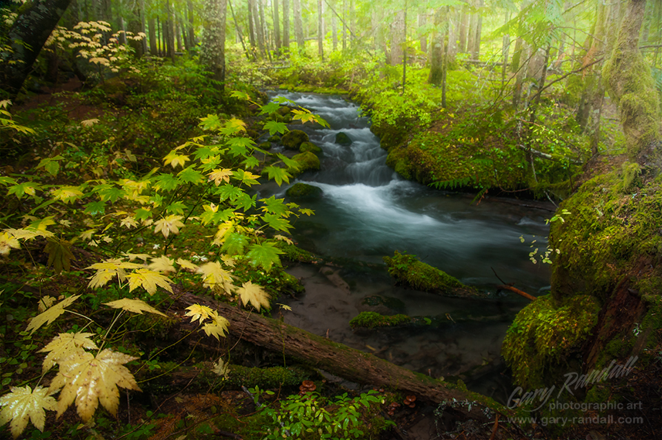 The Little Zigzag River