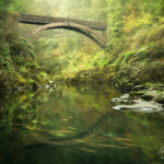 Lewis River Washington