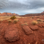 Lavender Canyon Utah