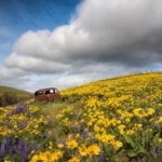 Columbia Hills Washington