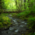 Gorton Creek Oregon