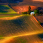 The Palouse Washington