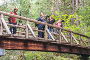 Opal Creek 2016