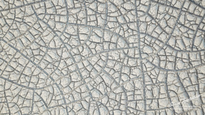 Alvord Desert Playa Mud Tiles