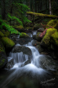 Creek in the Mount Hood National Forest