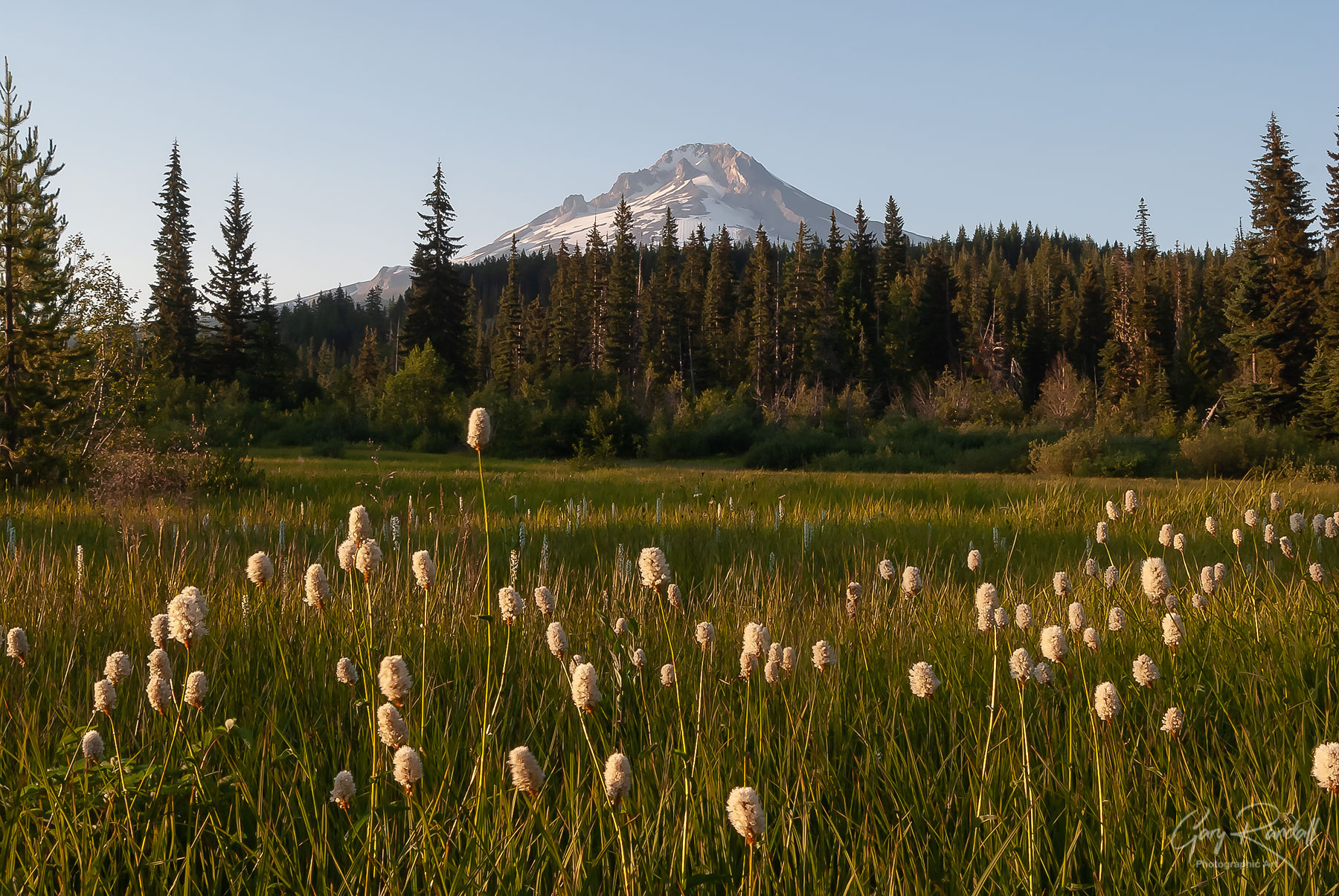 Summit Meadow