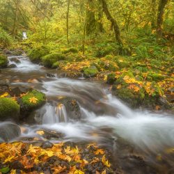 Columbia River Gorge Waterfall Photography Workshop Oct 2026
