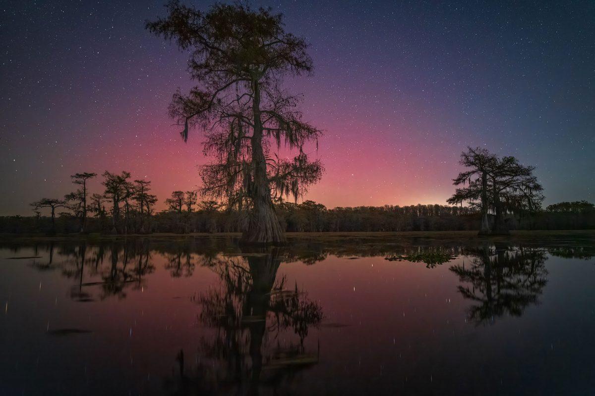A rare night of the Northern Lights over Caddo Lake Texas. 