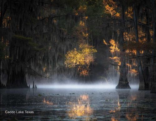 2026 Calendar-November