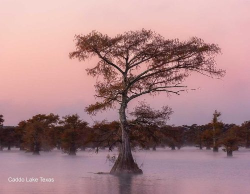 2026 Calendar-October