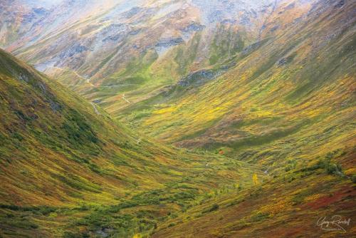Autumn Tundra at Hatcher Pass, Alaska