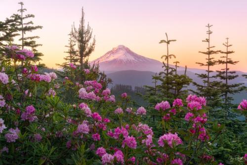 Mount Hood Oregon
