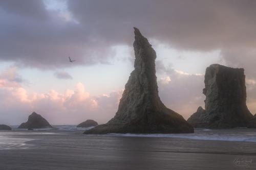 bandon-01